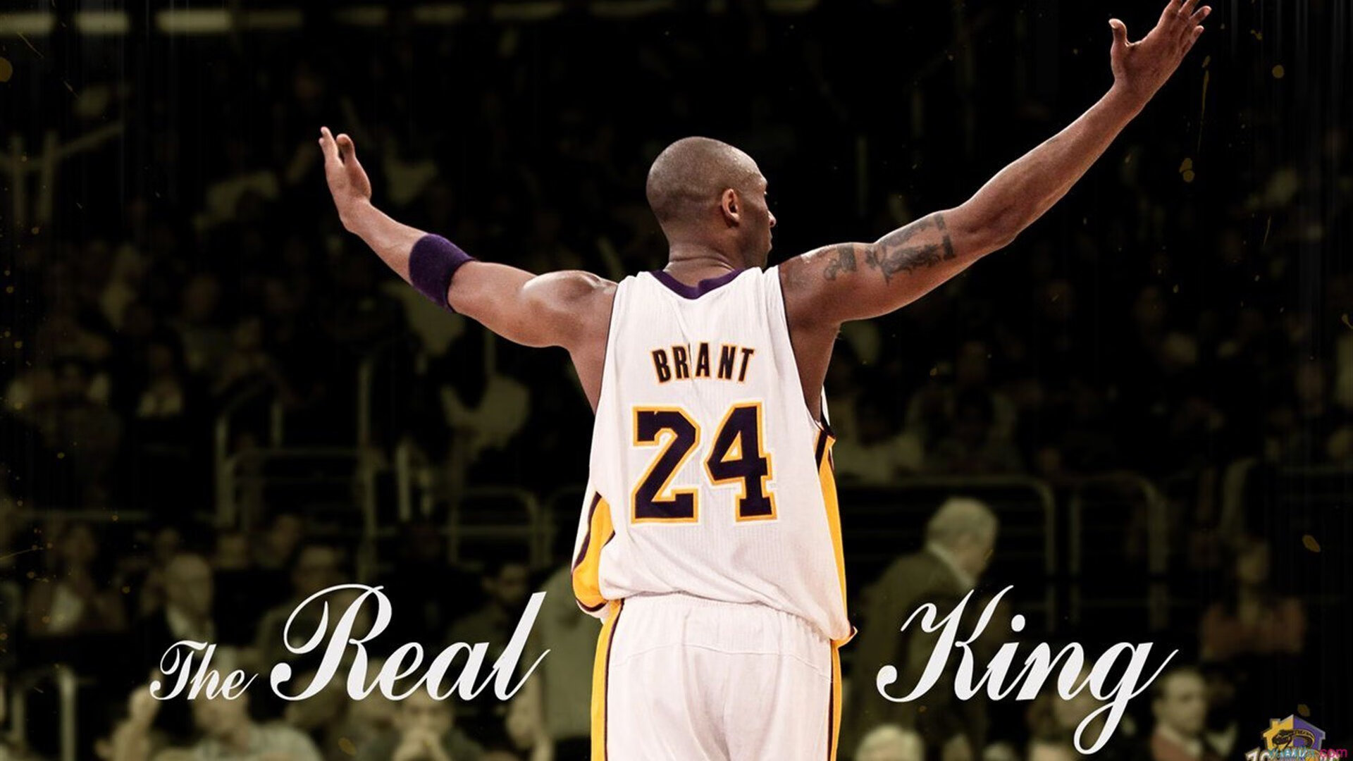 开云体育软件-霍特·巴雷特：全黑队的大脑，指挥进攻无可挑剔，霍巴特的历史